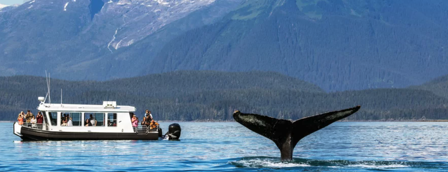 Humpback whale tail with whale watching boat near Juneau Alaska